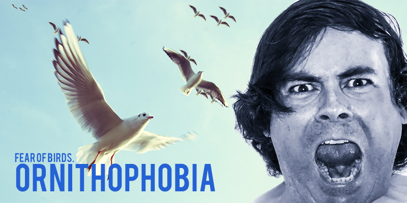 Ornithophobia Fear Of Birds Causes Symptoms And Treatment Healthtopia